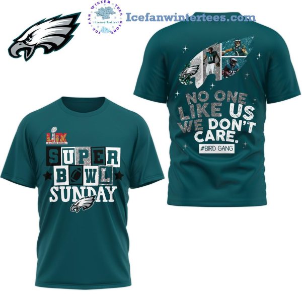 Philadelphia Eagles Super Bowl Sunday No One Like Us We Don’t Care Unisex 3D T-Shirt